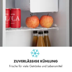 Snoopy Eco Mini-Kühlschrank Mit Gefrierfach 41 Liter 39dB -Weinkühlschränke Verkäufe 10032855 de 0005 logo