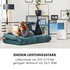 IceWind 4-in-1 Luftkühler Luftdurchsatz: 222 M³/h 36,5 Watt -Weinkühlschränke Verkäufe 10033496 de 0004 logo