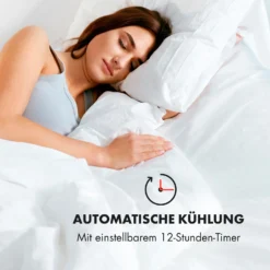 IceWind 4-in-1 Luftkühler Luftdurchsatz: 222 M³/h 36,5 Watt -Weinkühlschränke Verkäufe 10033496 de 0009 logo