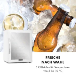 Beersafe XL Quartz Kühlschrank 60 Liter 4 Böden Panoramaglastür -Weinkühlschränke Verkäufe 10034929 de 0005 logo