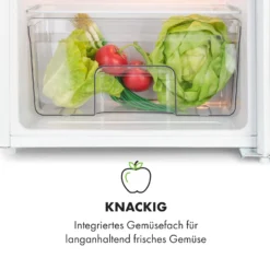 Spitzbergen Uni Kühlschrank 91 Liter 10-Liter-Gefrierfach 2 Böden 14 Spitzbergen Uni Kühlschrank 91 Liter 10-Liter-Gefrierfach 2 Böden -Weinkühlschränke Verkäufe 10035192 de 0006 logo